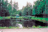 Karatcharovo2_edited-1